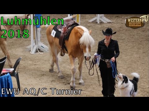 WHTV: EWU AQ/C Turnier Luhmühlen 2018