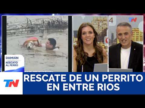 ENTRE RÍOS: UN PERRO FUE RESCATADO POR UN JÓVEN EN EL MEDIO DE UNA INUNDACIÓN
