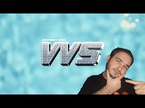 Reagiram na BAKA PRASE x VOYAGE - VVS