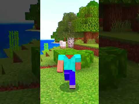 Terrifying Minecraft Glitches Exposed