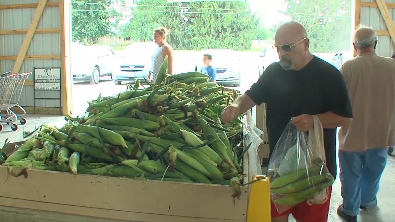 Spotlight on Local Business 05-06-2018