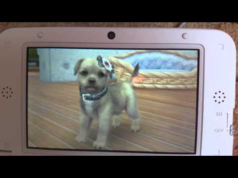 YouTube video about: Can you breed dogs on nintendogs?