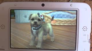 How to breed in nintendogs + cats