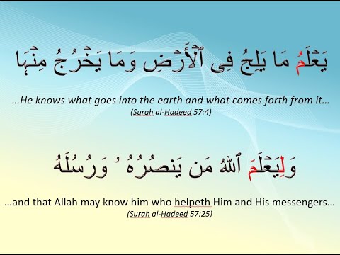 Quranic Arabic Course - Lesson 8 of 10 (2022) - Future Verbs/Command form