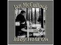 Ian McCulloch - Baby Hold On (2003)