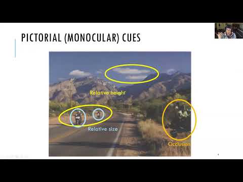 2 7 Size and depth cues