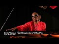 Stevie Wonder - Can't Imagine Love Without You (Live 2005)