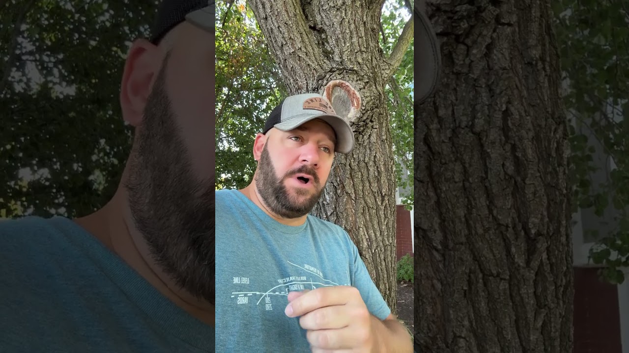 Everything Changes TODAY… #shortsfeed #shortsvideo #congress #langley #goa #atf #bondi #scotus