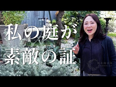 園芸 ホワイトヘザー、ツリーヘザー