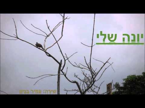 עמיר בניון