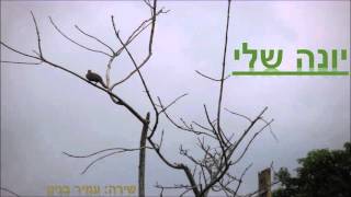 עמיר בניון