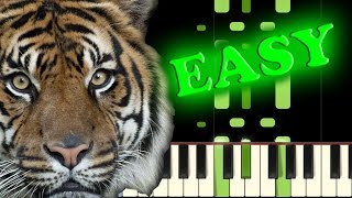 SURVIVOR - EYE OF THE TIGER - Easy Piano Tutorial
