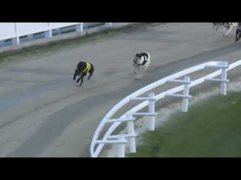 2022.06.03. 05. futam - Júniusi Trófea