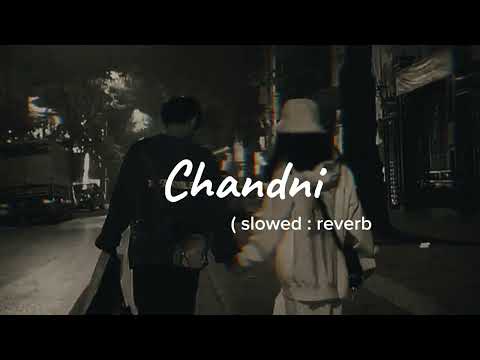 Chandni (slowed : reverb
