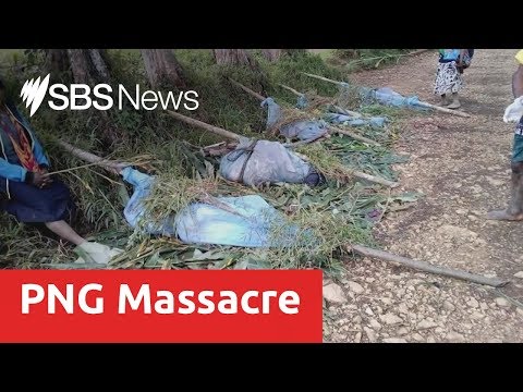 At least 22 people slaughtered in Papua New Guinea tribal violence