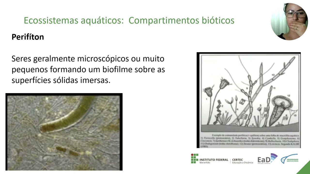 Unidade III -Ecossistemas dulcícolas - Profa. Ludymila Motta