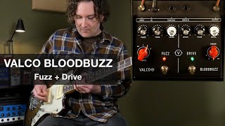 Video thumbnail for Valco BloodBuzz - Fuzz and Drive by AndyDemos