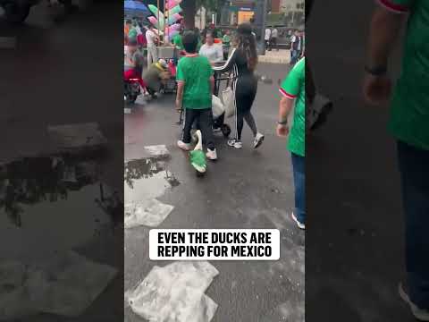Found the biggest Mexico fan in the flock 🇲🇽