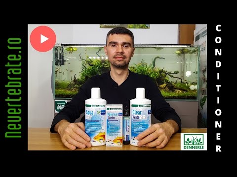 Watch Video on YouTube