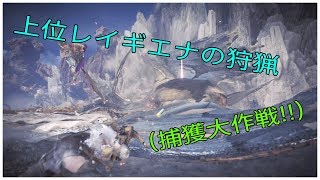MHW 実況　上位レイギエナ狩猟!!（捕獲大作戦!!）