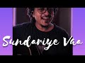 Sundariye Vaa Guitar Cover SachuRajBhaskar 2021 Chembakame