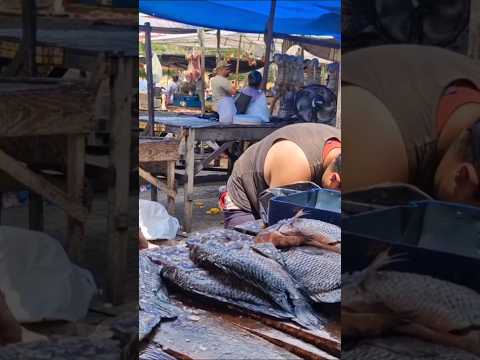 Feira livre de iati Pernambuco tem muita opções