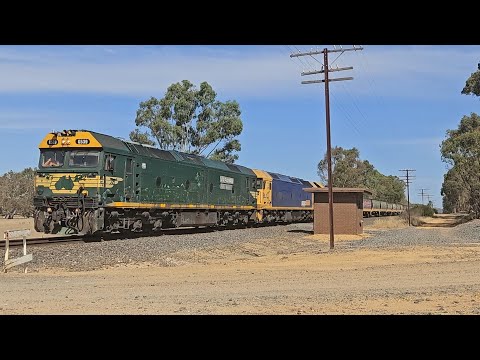 7731V PN down empty grainy (G539, BL31, X50), Geelong to Dimboola, 1645, 21/1/25, Great Western VIC