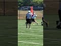 Spring Mills vs Tuscarora QB hit! #football #gameday #cardinals #springmills #youthsports