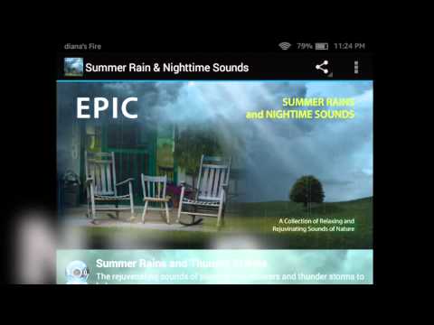 Summer Rain & Nighttime Sounds Video
