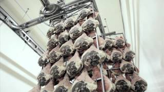 Quinta Stagione Video Istituzionale