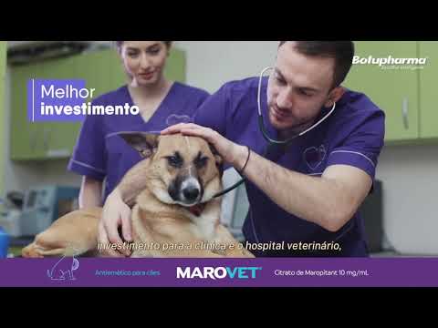 Marovet 1º antiemético para cães produzido no Brasil