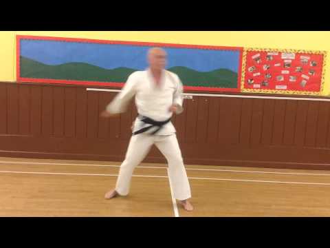 WADO RYU KATA. NISEISHI