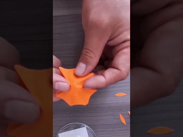 Vídeo relacionado con 120 Piezas Decoración de Cócteles, Paraguas de Cóctel, Pajitas de Papel, Palitos de Fuegos Artificiales, Palitos Flamencos, para Fiestas de Verano, Bar de Decoración Bebidas Artículos Fiestas