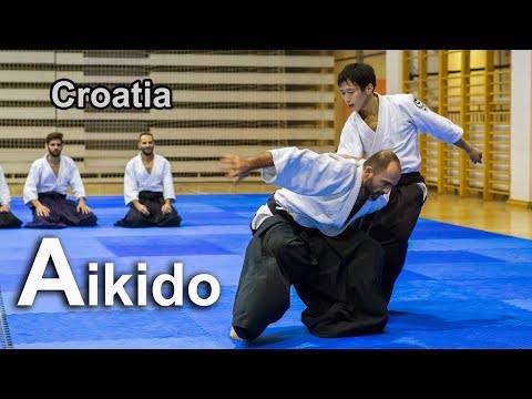 Dynamic Aikido in Croatia - Ryote Dori techniques SHIRAKAWA RYUJI shihan