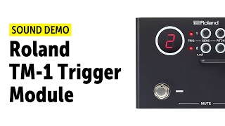 Video thumbnail for Roland TM-1 Trigger Module Sound Demo (no talking) by Drums Bonedo