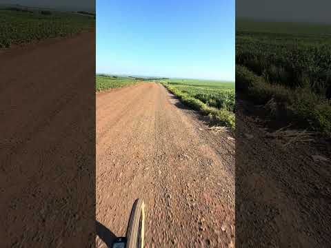 Estrada do Dalossi em Andirá Pr