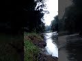 Ada Monyet Lagi Buang Air Besar Di Sungai
