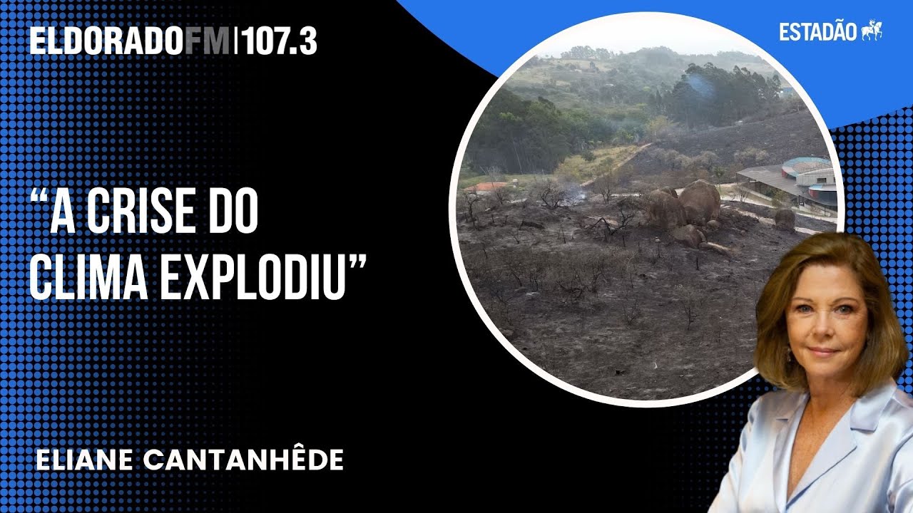 "Supremo está sendo decisivo para sacudir governo federal e estaduais sobre crise climática"
