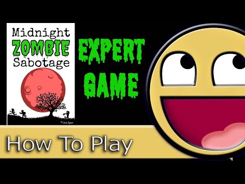 How to play an Expert MZS game (Maniac)