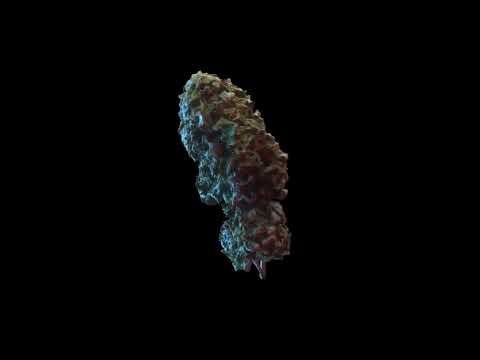 GALDINO " 25G " Feat. Xileno | Prodbyfilbeats (Official Video Lyric)