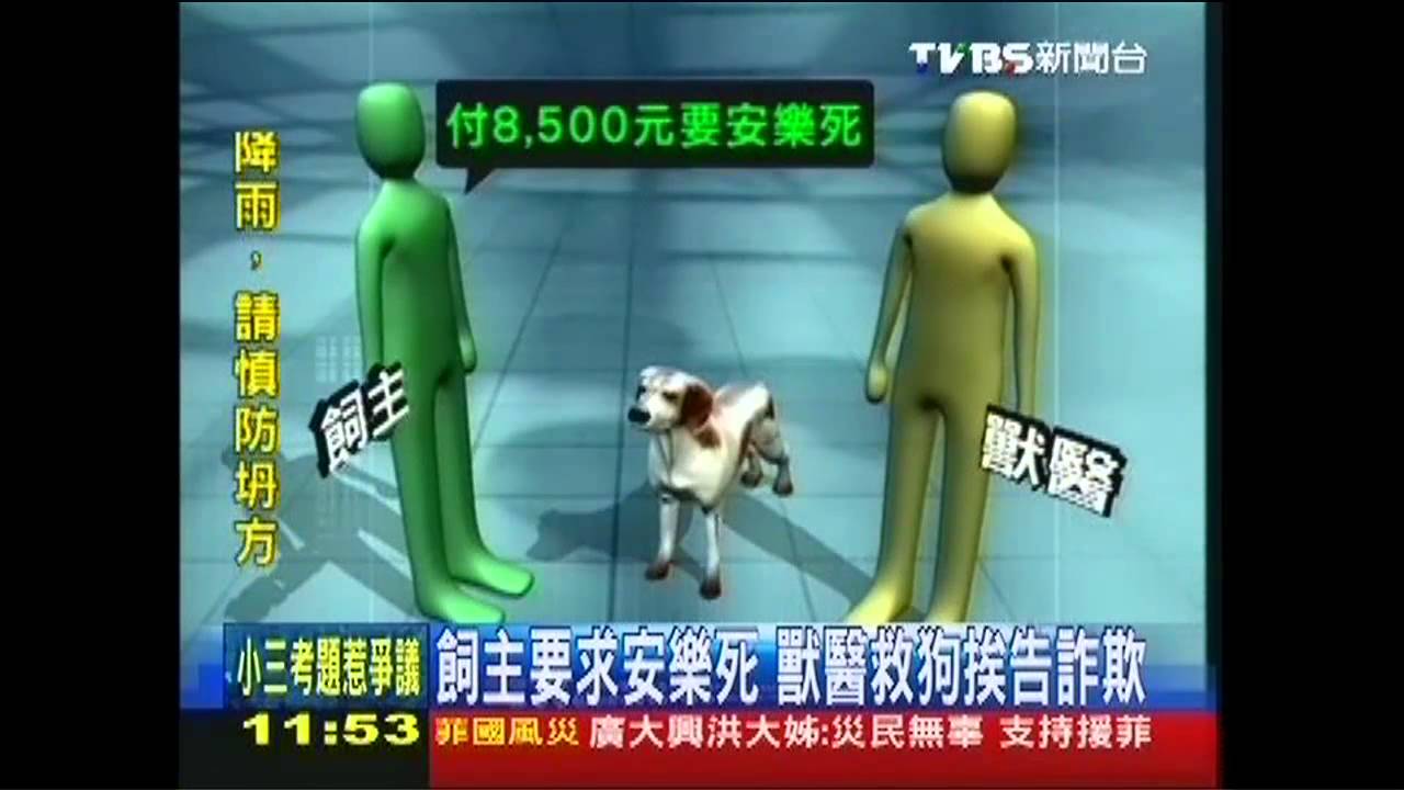 飼主要求安樂死 獸醫救狗挨告詐欺