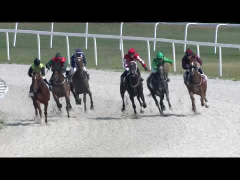 2018.08.05. 02. futam - MESSERSCHMITT HENDIKEP (III.o.) (szintetikus pálya)