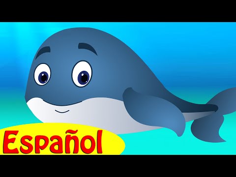 download lagu mp3 mp4 Ballenita Para Colorear, download mp3 Ballenita Para Colorear free downloadn, video klip Ballenita Para Colorear