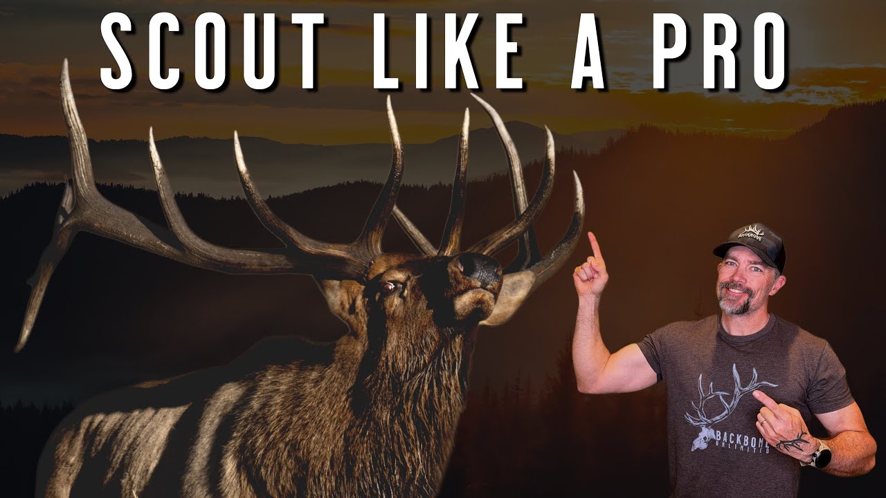 This Elk Scouting Tip Changes Everything