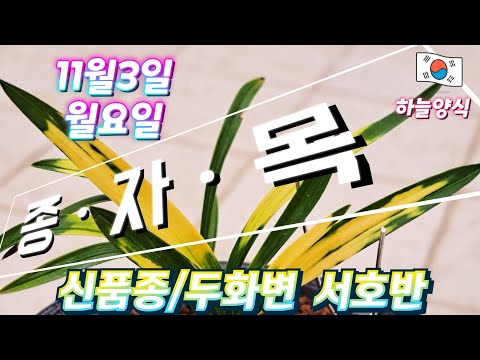 유튜브 썸네일