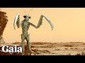 Did The ANT PEOPLE Help Humanity SURVIVE In The Last Cataclysm