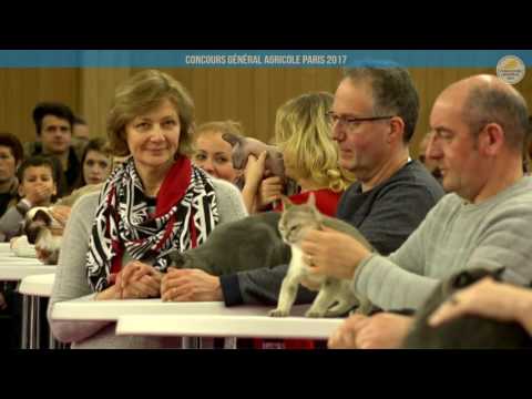 Voir la vidéo : Ring Canins du 02 mars 2017, partie 2