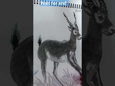 progress report 🥰/charcoal sketching #shorts/ Sakshi art work