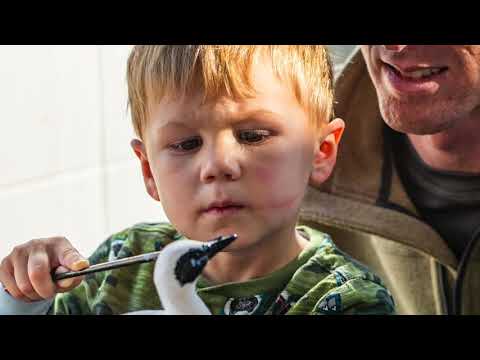 Waterfowl Festival
