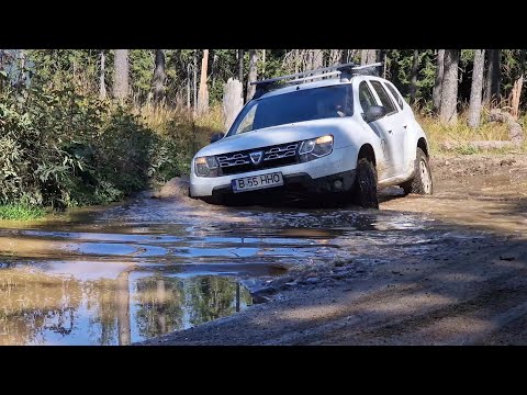 🏕 Duster - Overlanding -Valea Macesului - Strategica - Transalpina